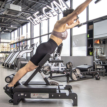 Replacement Nordic Flex Exercise Machine Nordic Flex Exercise