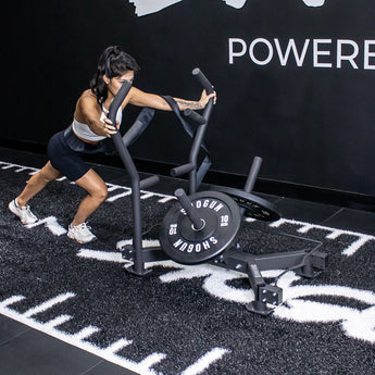 Hyrox Sled Alternative Exercise To Sled Push SHOGUN STAG SLED For